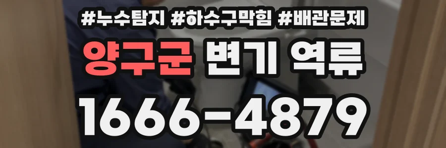 양구군 변기 역류