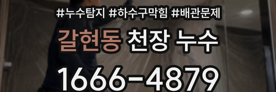 갈현동 천장 누수