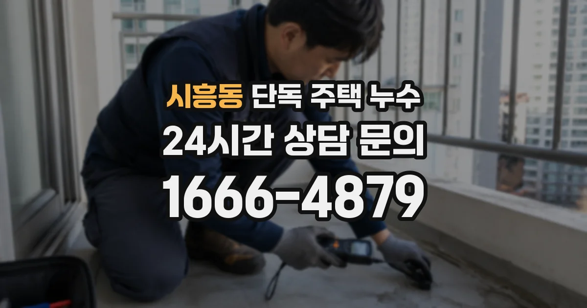 시흥동 단독 주택 누수