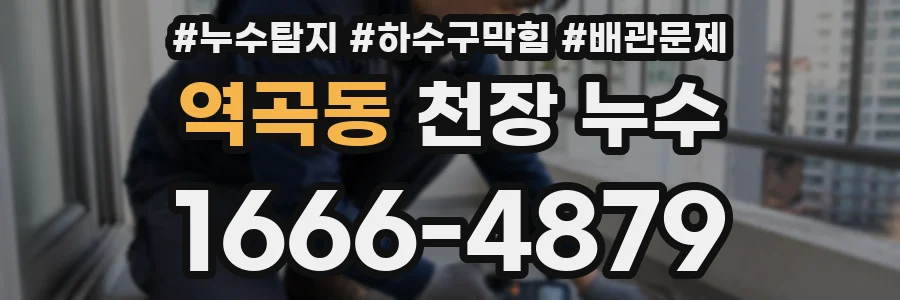 역곡동 천장 누수