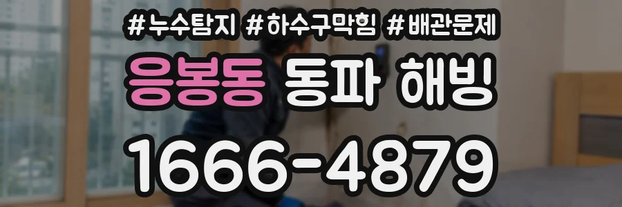 응봉동 동파 해빙
