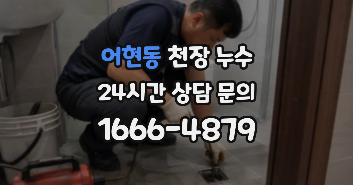 어현동 천장 누수