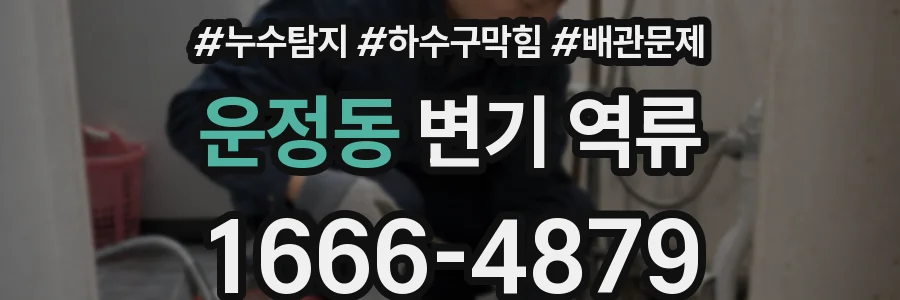 운정동 변기 역류