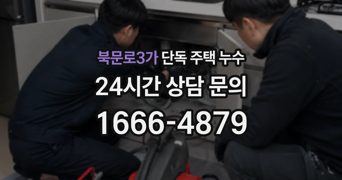 북문로3가 단독 주택 누수
