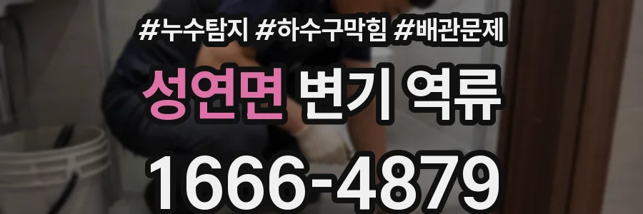 성연면 변기 역류