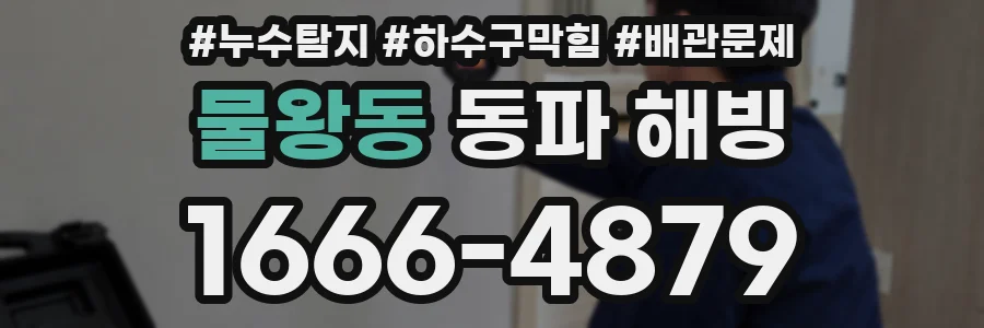 물왕동 동파 해빙