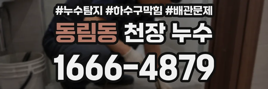 동림동 천장 누수