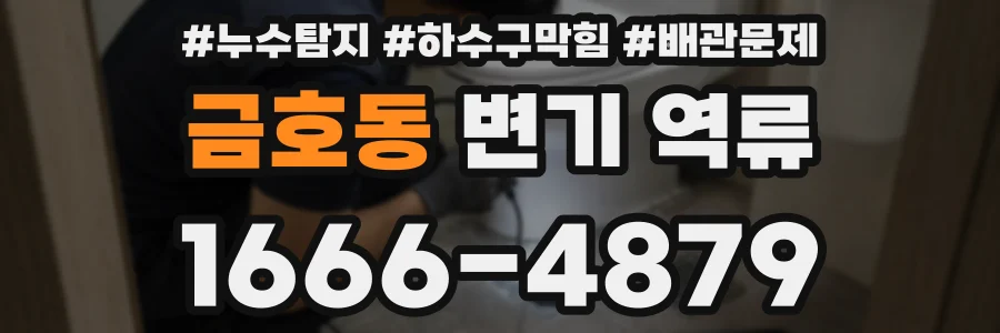 금호동 변기 역류