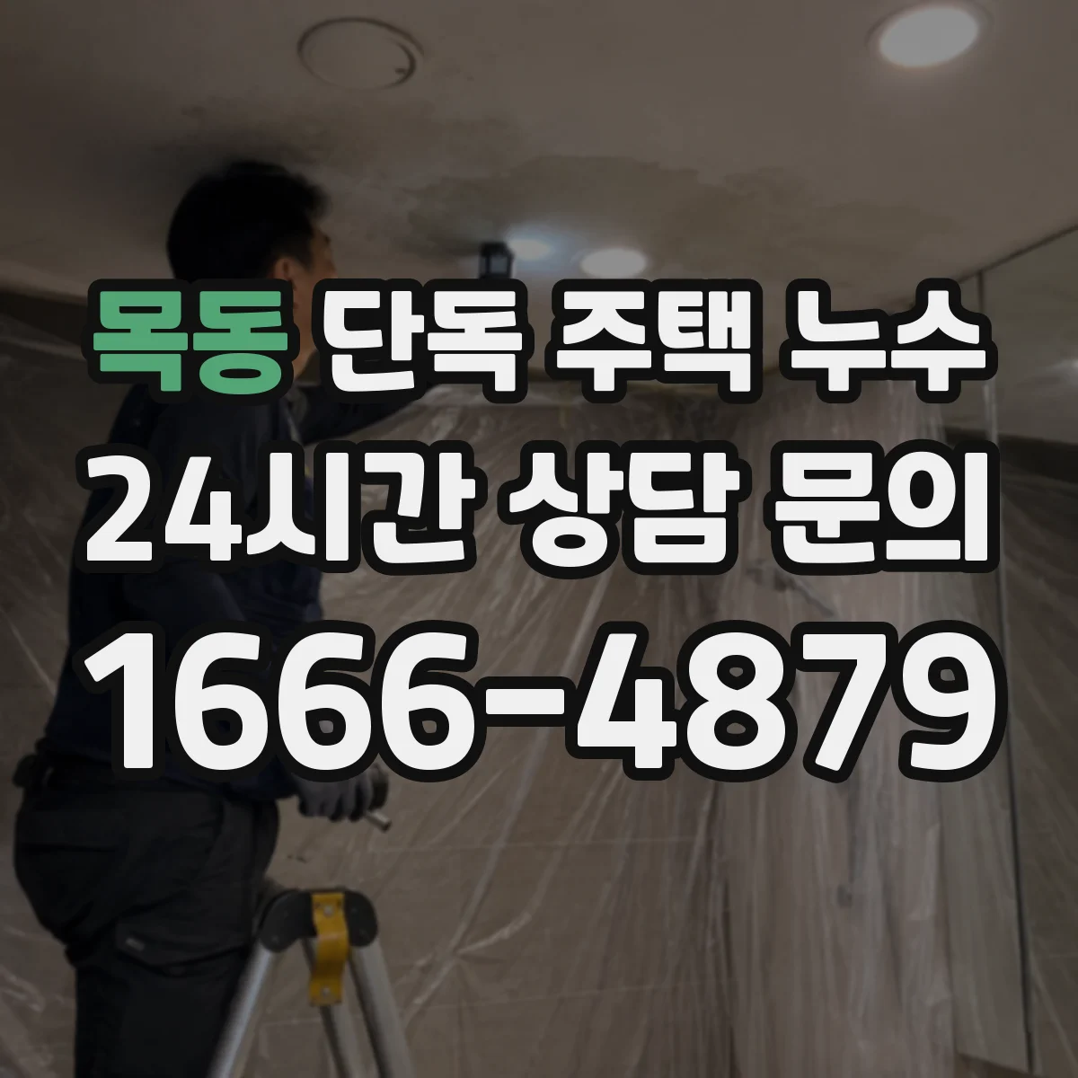 목동 단독 주택 누수