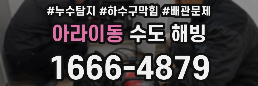 아라이동 수도 해빙