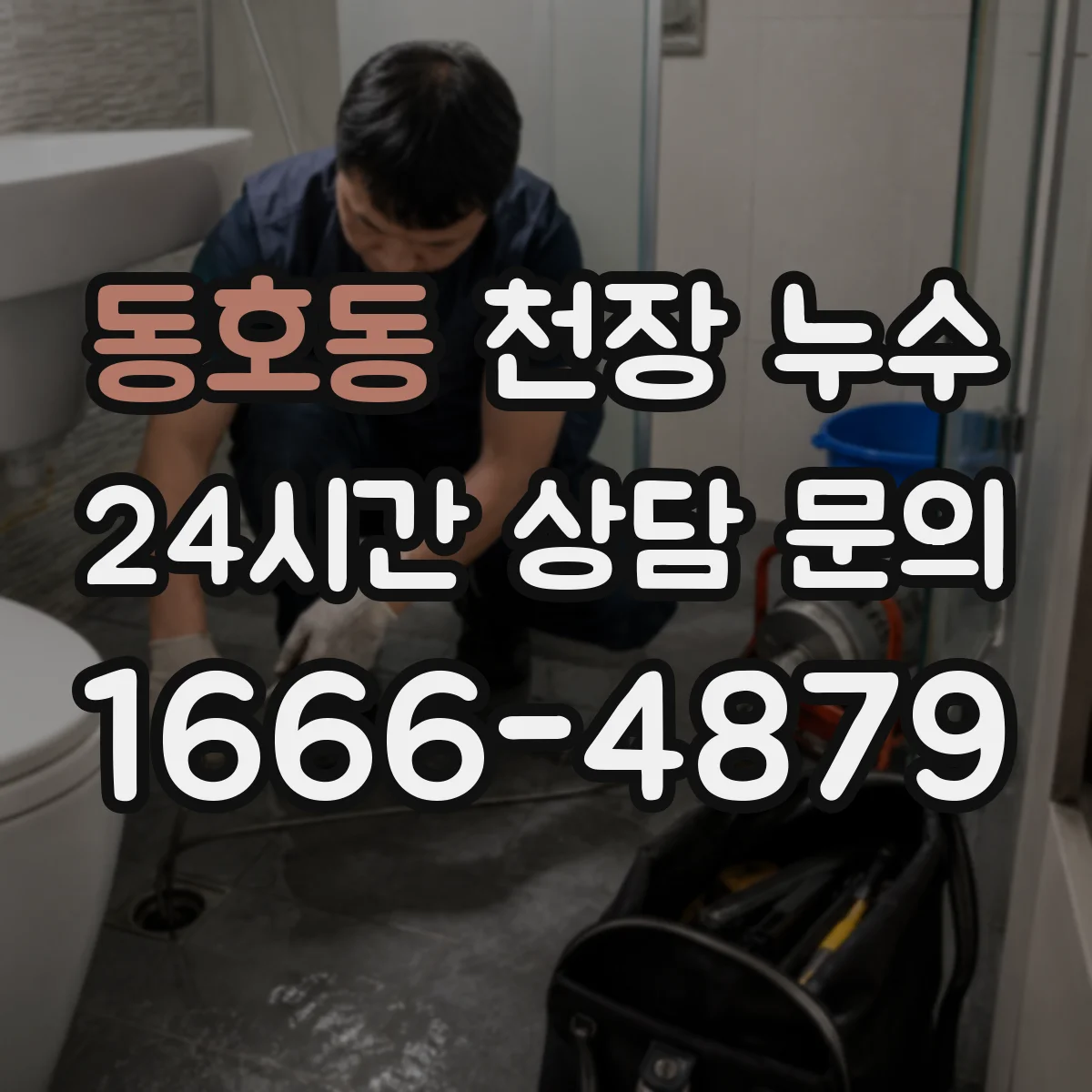동호동 천장 누수
