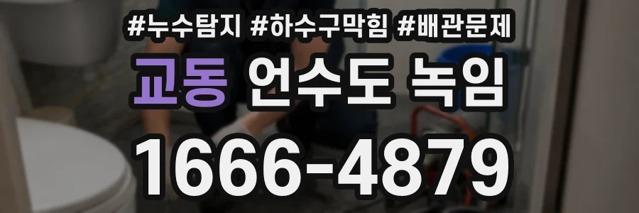 교동 언수도 녹임