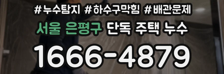 서울 은평구 단독 주택 누수