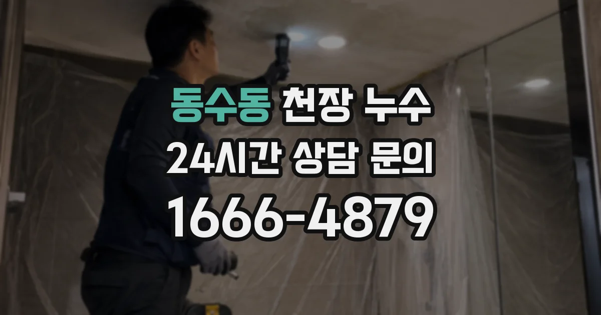 동수동 천장 누수