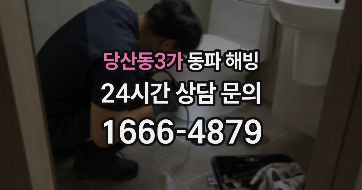 당산동3가 동파 해빙