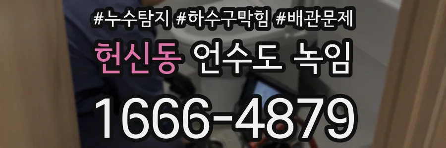 헌신동 언수도 녹임