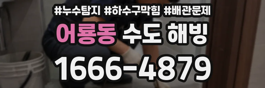 어룡동 수도 해빙