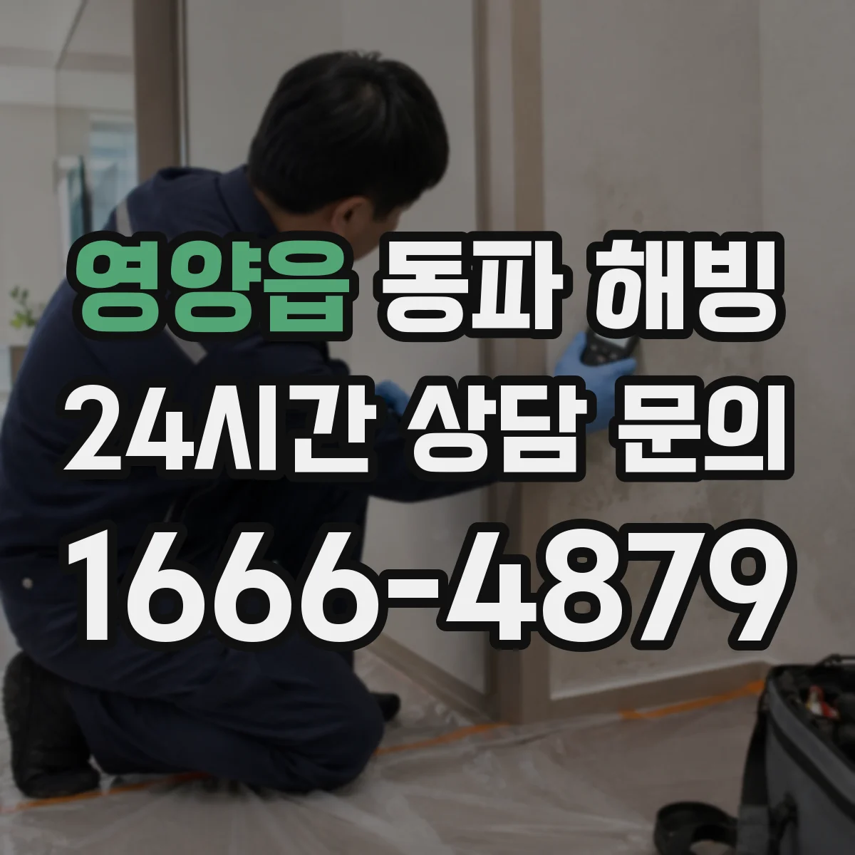 영양읍 동파 해빙