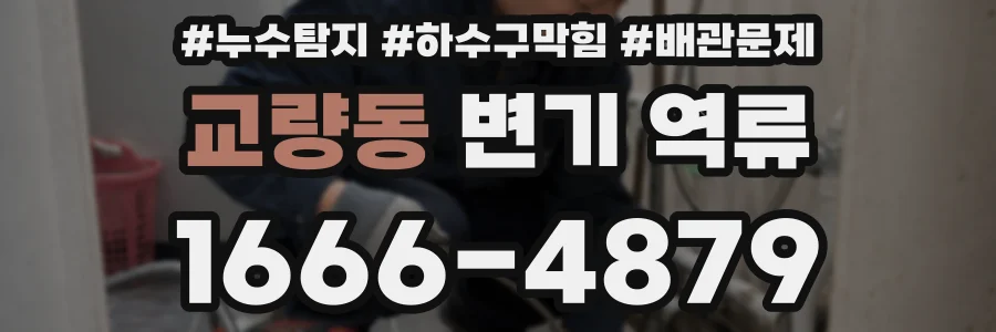 교량동 변기 역류