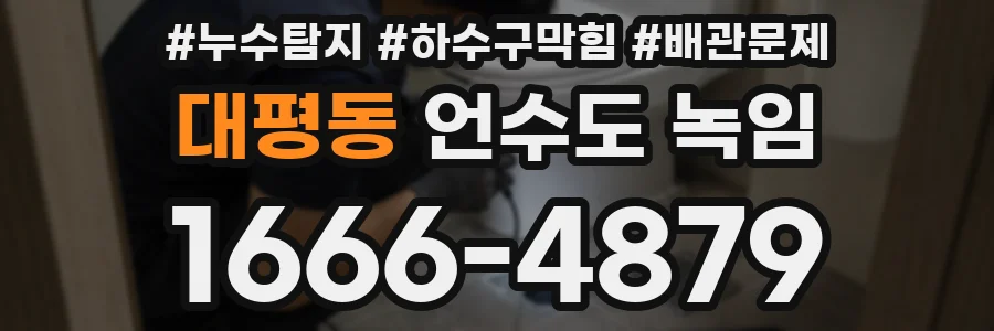 대평동 언수도 녹임