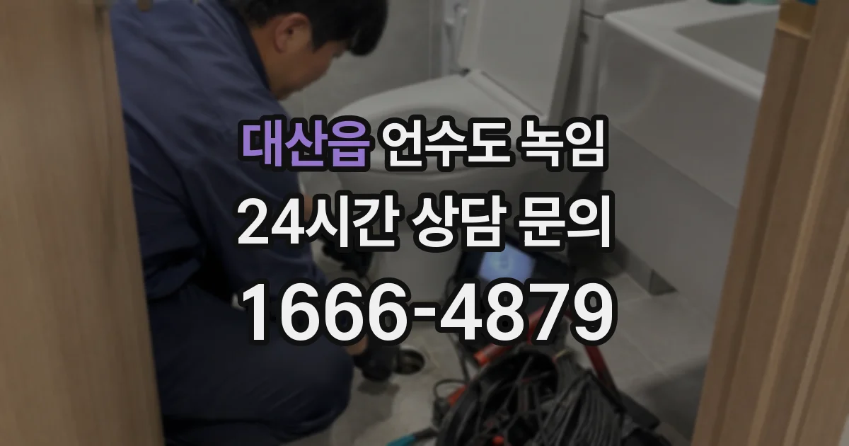 대산읍 언수도 녹임