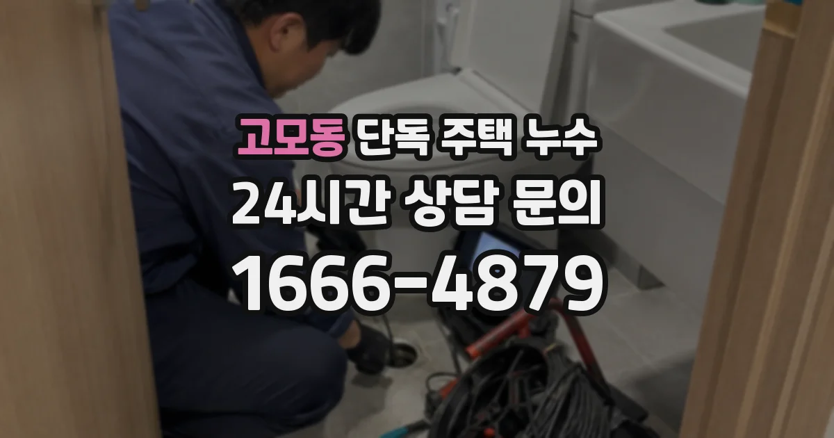 고모동 단독 주택 누수