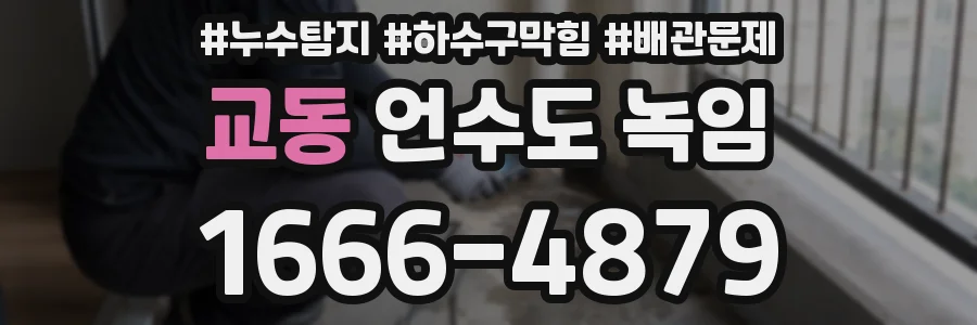 교동 언수도 녹임