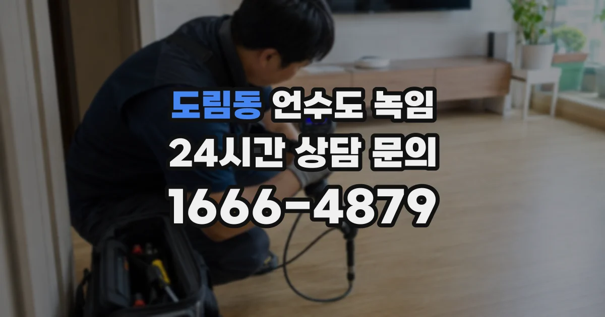 도림동 언수도 녹임