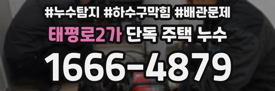태평로2가 단독 주택 누수