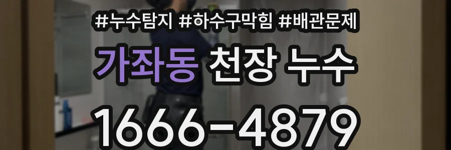 가좌동 천장 누수