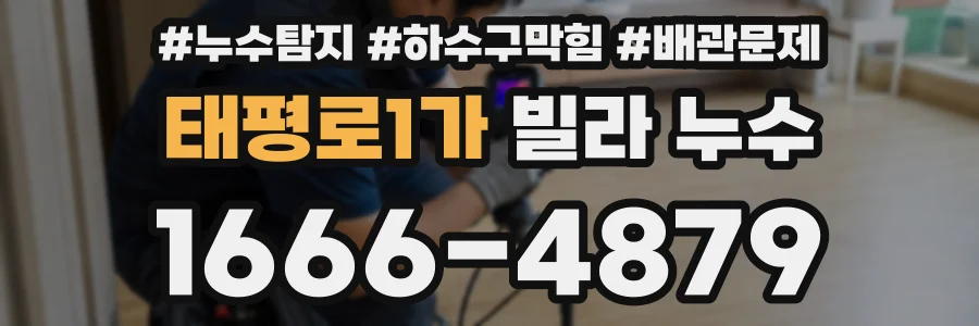 태평로1가 빌라 누수