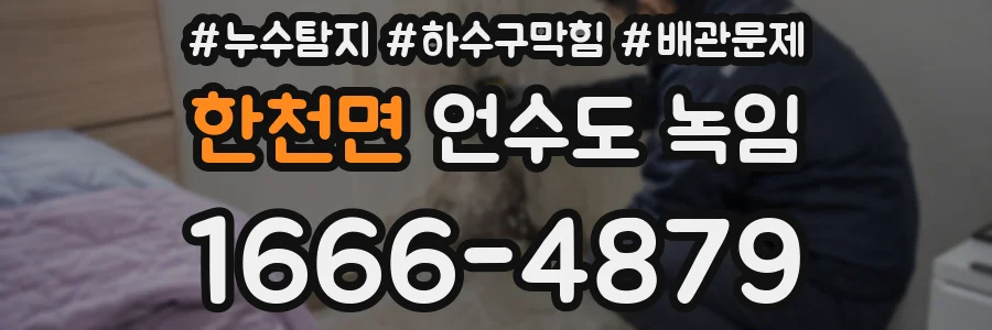 한천면 언수도 녹임