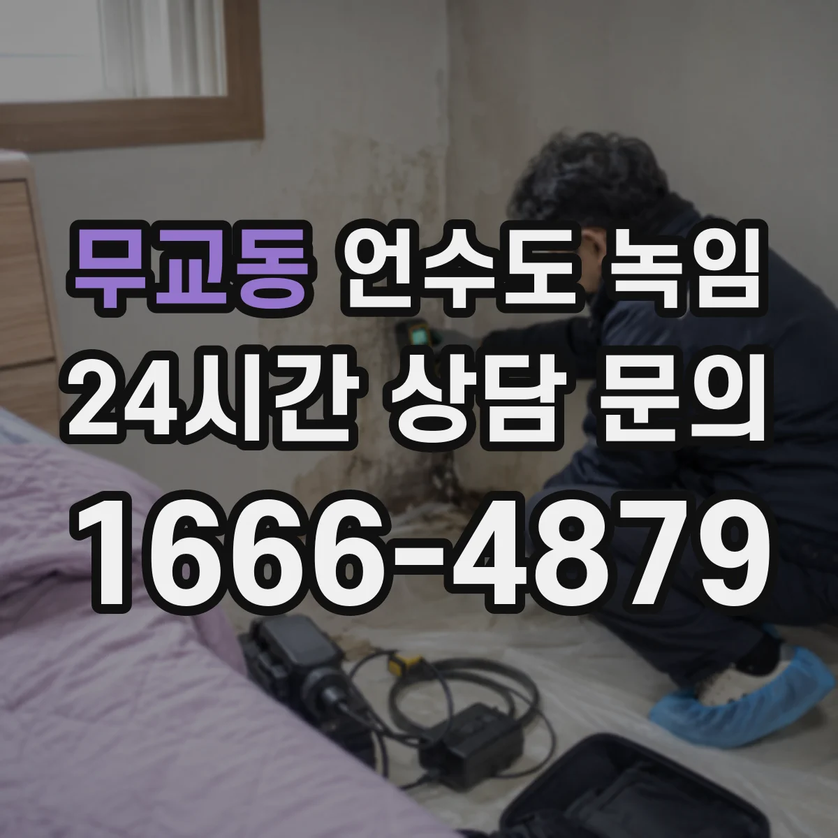 무교동 언수도 녹임