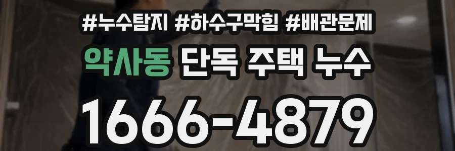 약사동 단독 주택 누수