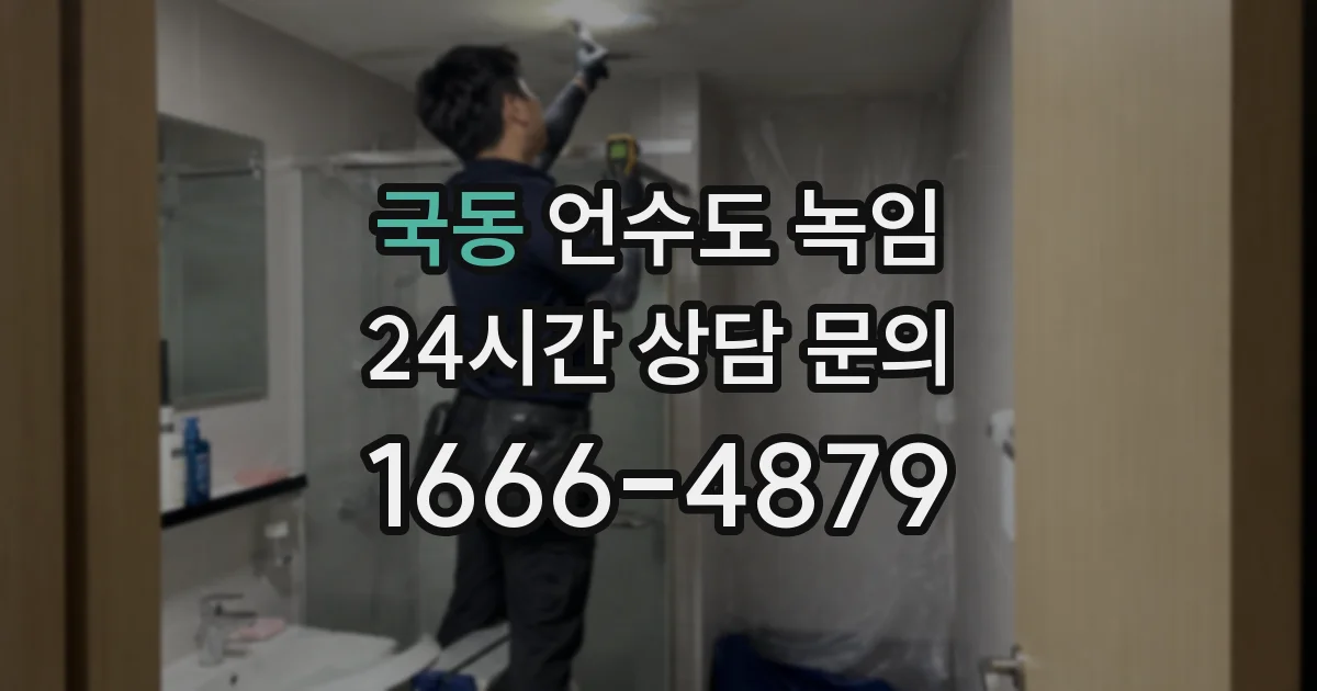 국동 언수도 녹임