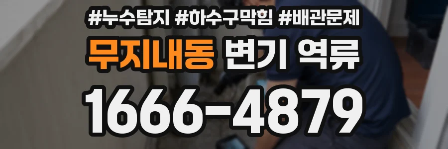 무지내동 변기 역류