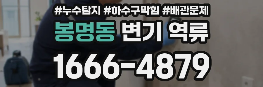 봉명동 변기 역류