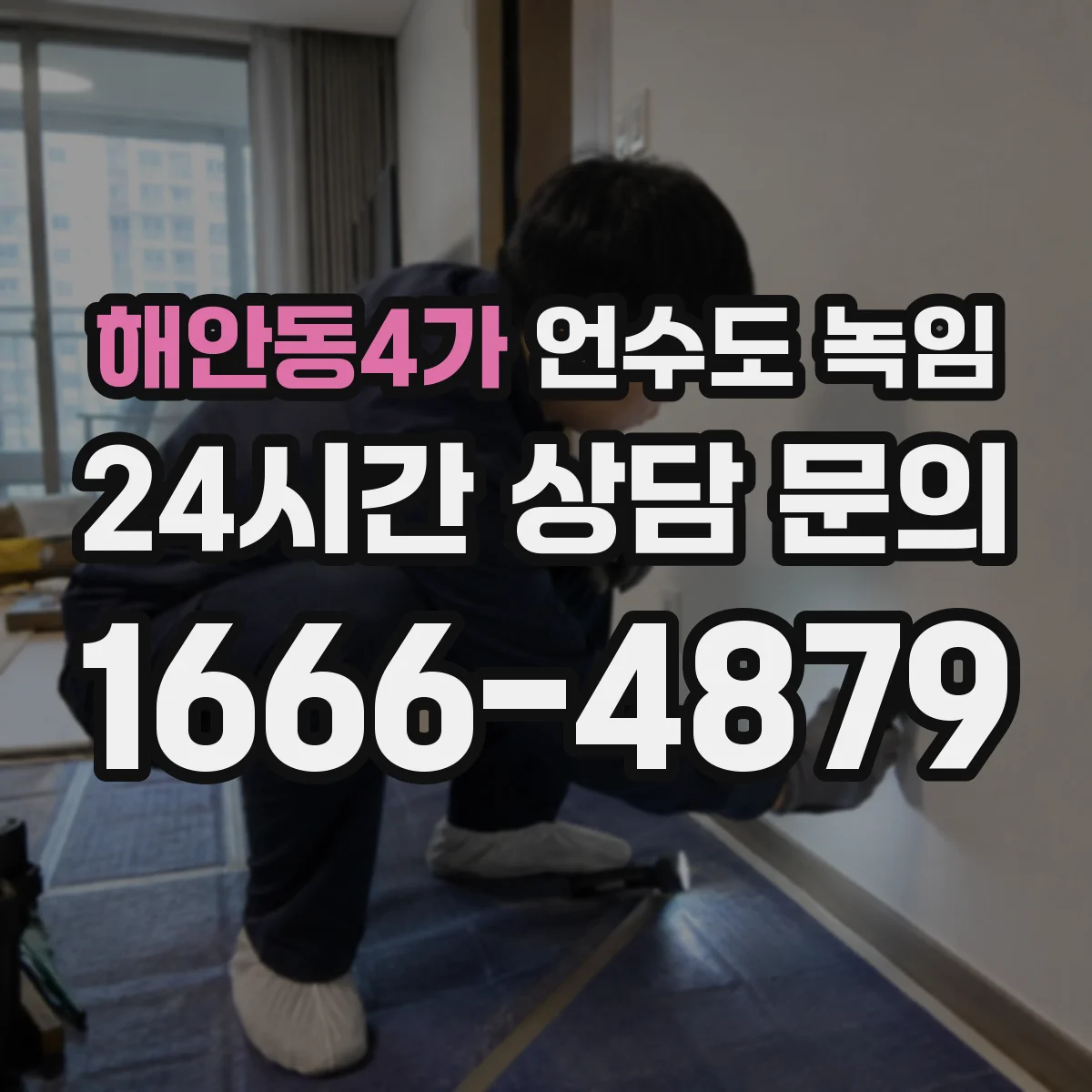 해안동4가 언수도 녹임
