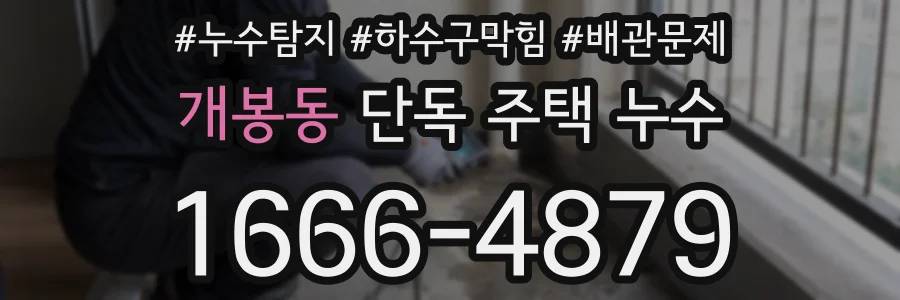 개봉동 단독 주택 누수