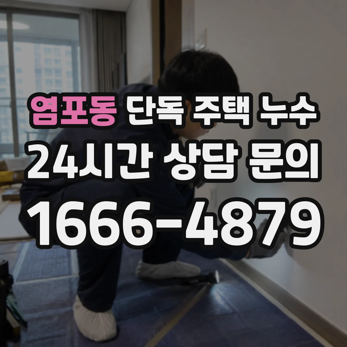 염포동 단독 주택 누수
