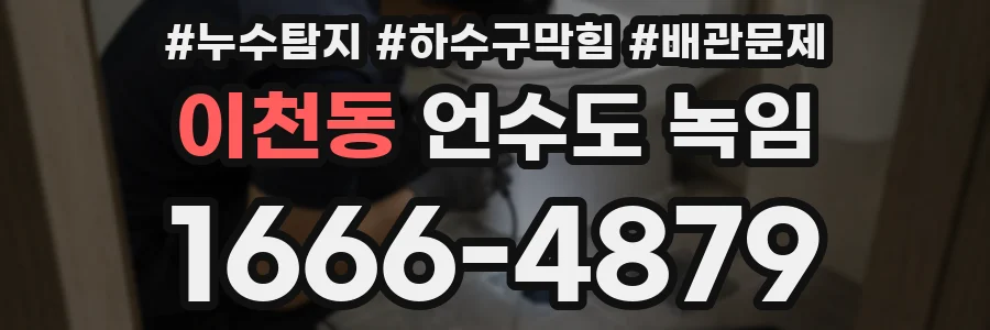 이천동 언수도 녹임