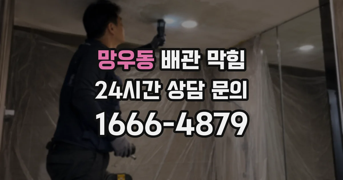 망우동 배관 막힘