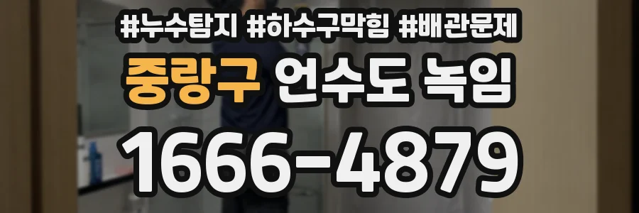 중랑구 언수도 녹임