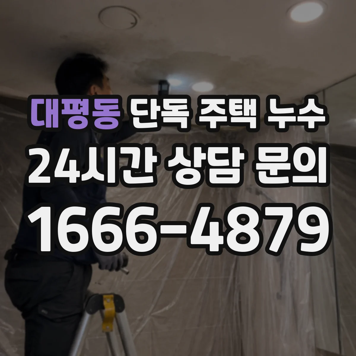 대평동 단독 주택 누수