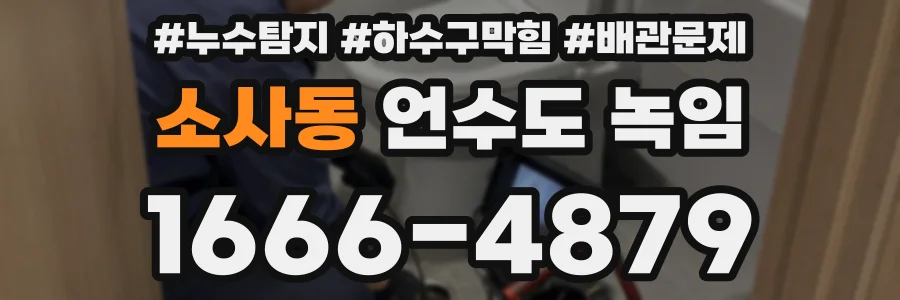 소사동 언수도 녹임