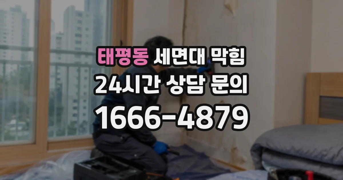 태평동 세면대 막힘