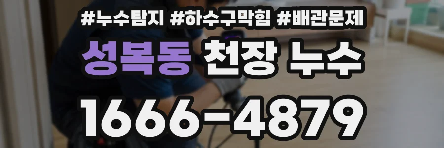 성복동 천장 누수