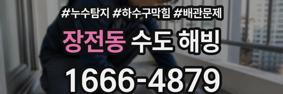 장전동 수도 해빙