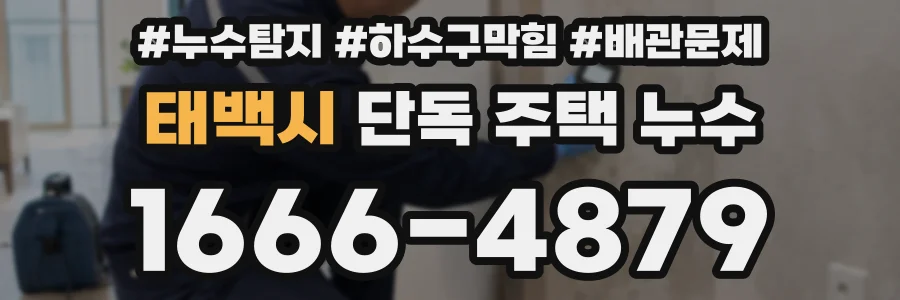 태백시 단독 주택 누수