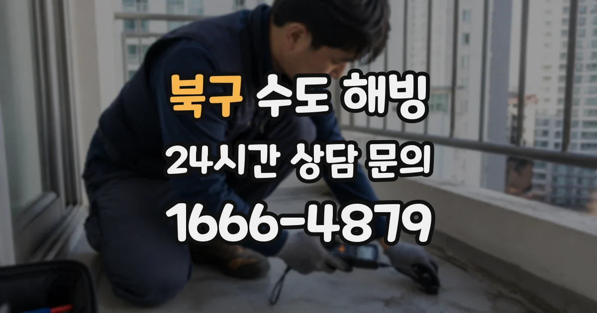 북구 수도 해빙